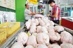 مرغ دولتی در میادین میوه و تره بارعرضه میشود
