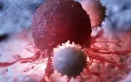 آخرین خبرها از واکسن HPV ایرانی| ابتلای سالانه ۱۳۰هزار تن به سرطان در کشور