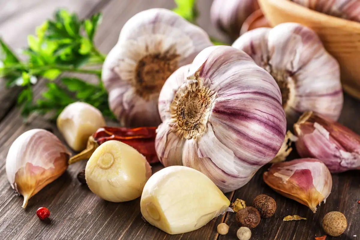 دیگه نگران خراب شدن سیر نباش! | روش نگهداری سیر به مدت طولانی + ویدئو