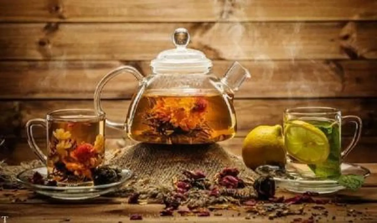 با این گیاه در دسترس عفونت های بدنتان را نابود کنید