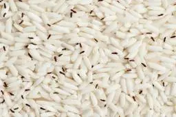 روش هایی برای  پیشگیری و رفع شپشک برنج 