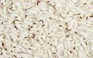 روش هایی برای  پیشگیری و رفع شپشک برنج 