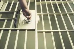 مجرم با خسارت کمتر از ۱۰ میلیون تومان، زندانی نمی‌شود + ویدئو 