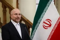 میرتاج الدینی: گزینه فراکسیون انقلاب برای تصدی ریاست مجلس، قالیباف است