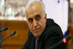 گلایه وزیر اقتصاد از بانک مرکزی در حمایت از بانک‌های مشکل دار