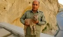 جزئیات تازه قوه قضاییه از پرونده عباس ایروانی تا پیگیری جنایات صهیونیست‌ها و قتل محیط‌بان | آخرین وضعیت پرونده گروه عظام، قتل یک محیط‌بان