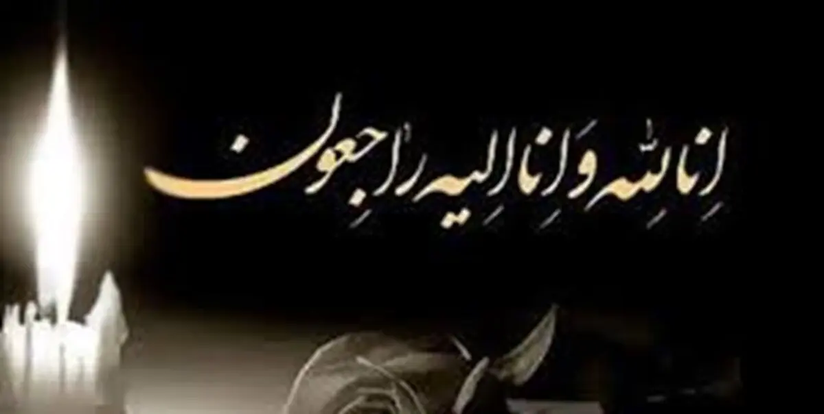 مادر طلبه شهید غلامعلی فاضلی به فرزند شهیدش پیوست
