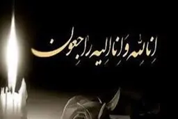 مادر طلبه شهید غلامعلی فاضلی به فرزند شهیدش پیوست
