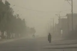 کرمان 2 سال است اعتباری برای مقابله با ریزگردها نگرفته 