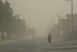 کرمان 2 سال است اعتباری برای مقابله با ریزگردها نگرفته 