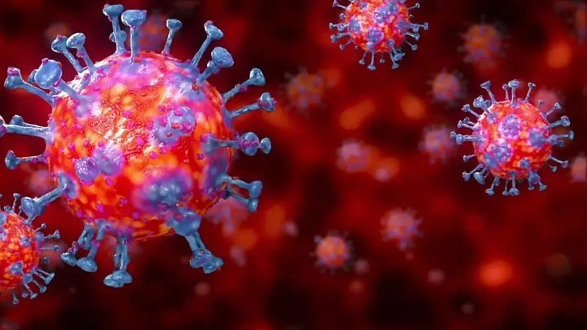 ویروس کرونا در دمای ۷۰ درجه پنج دقیقه زنده می ماند