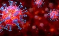 ویروس کرونا در دمای ۷۰ درجه پنج دقیقه زنده می ماند