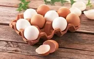 افت ۲۰ درصدی تولید تخم مرغ  |  قیمت هر کیلو تخم مرغ به ۱۳ هزار و ۵۰۰ تومان رسید 