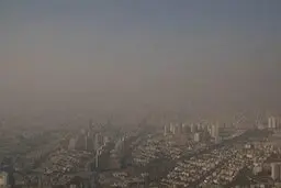 مدفون شدن وحشتناک گوسفندان زیر خاک بر اثر توفان سهمگین زابل+ویدئو