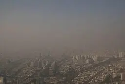 مدفون شدن وحشتناک گوسفندان زیر خاک بر اثر توفان سهمگین زابل+ویدئو