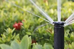 
"ارزش آب"؛ شعار امسال روز جهانی آب


