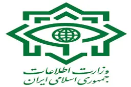 
 سرنخ هایی از عاملان ترور شهید فخری‌زاده به دست آمده است

