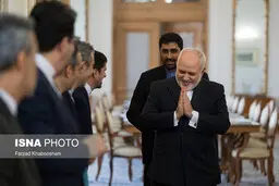 موسوی‌: ظریف در صحت و سلامت کامل است