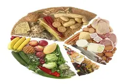 ۱۰ نکته مفید برای جلوگیری از فساد مواد غذایی و صرفه جویی در پول‌