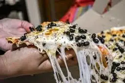 صف طولانی برای پیتزای مورچه‌دار | مردم برزیل دیوانه این پیتزا شدند! +ویدئو