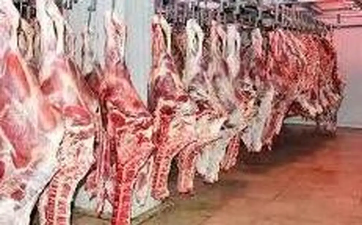 
قاچاق  |  یکی از علل افزایش قیمت گوشت قرمز قاچاق دام است 
