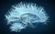 هک کردن مغز برای یادآوری خاطرات خاص گذشته | داستان‌های علمی تخیلی به حقیقت پیوسته‌اند؟