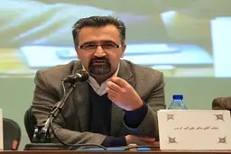 
علی اکبر گرجی : مصوبه شورای نگهبان برخلاف قانون اساسی است 