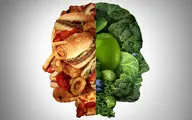 غذاهای کم‌ارزش و مغز؛ چگونه رژیم‌های غذایی مدرن منجر به کاهش سلامت مغز می‌شوند؟