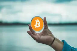 پیش بینی قیمت بیت کوین برای سال ۲۰۲۰