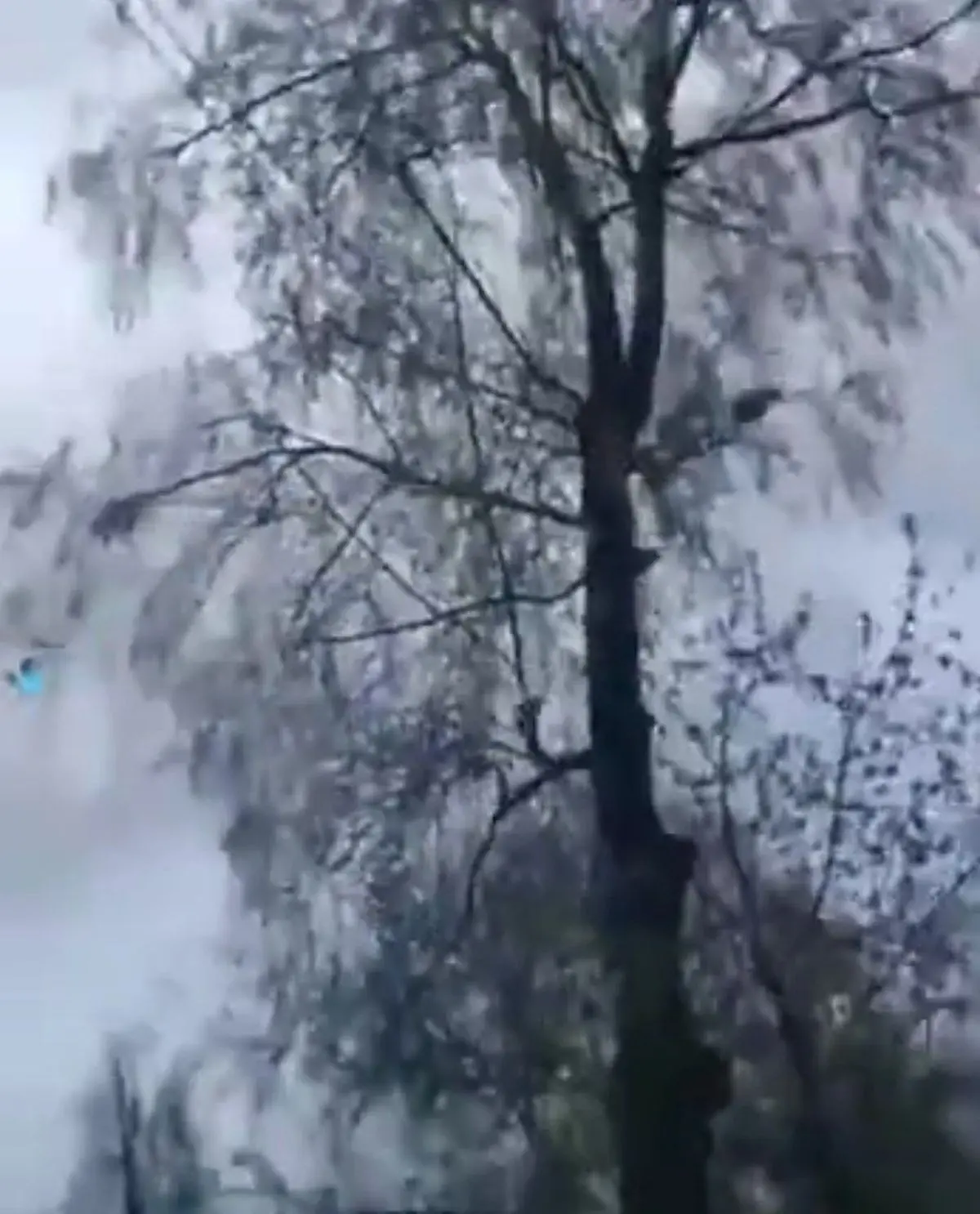 هم‌اکنون آسمان اوکراین | حضور سنگین جنگنده‌‌ها و بمب‌افکن‌های روسیه+ویدئو