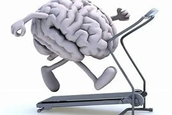 پژوهشگران: مغز انسان در ۶۰ سالگی به اوج عملکرد خود می‌رسد