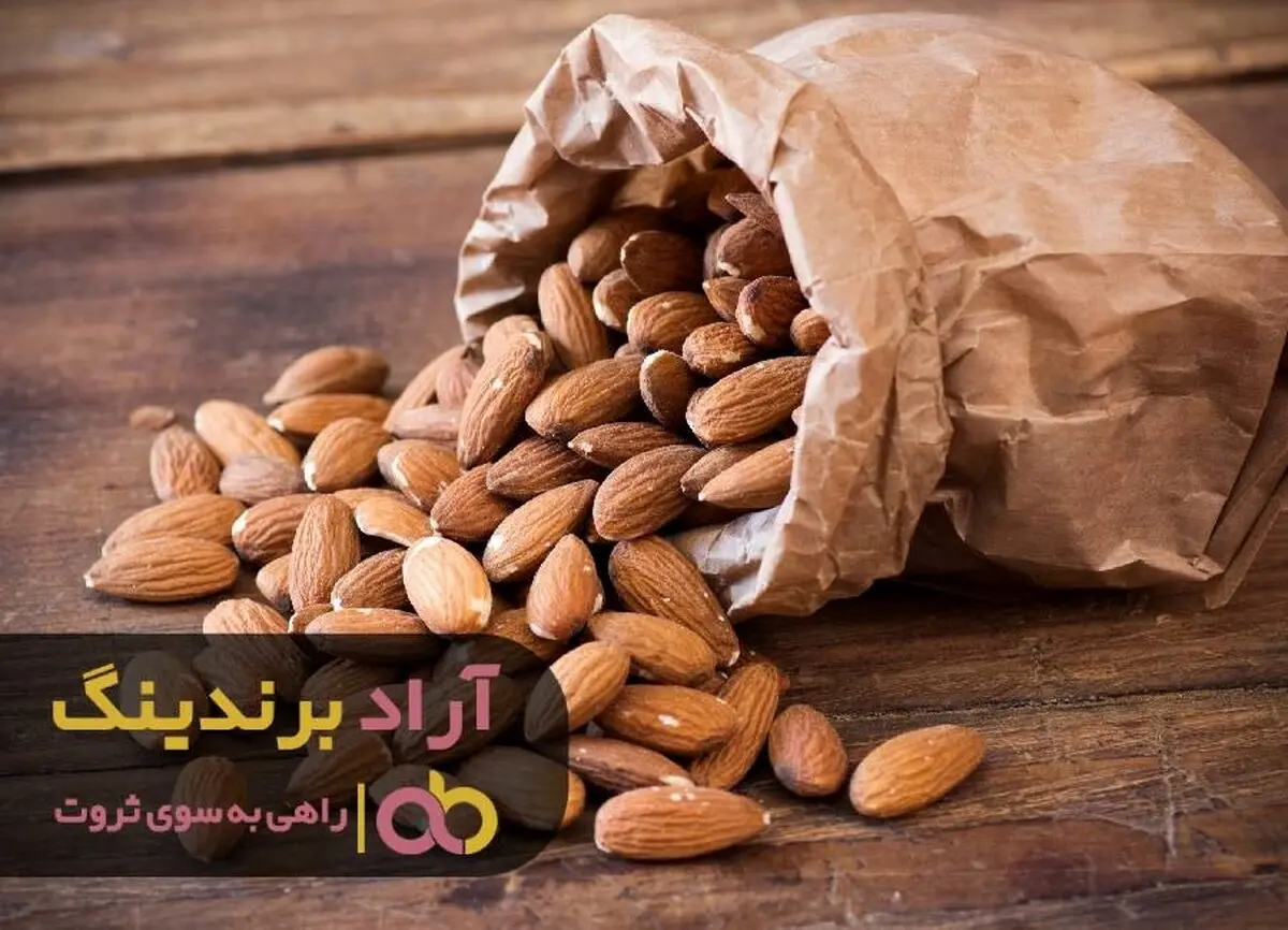 بهترین مسیر برای پولدار شدن چه راهی است؟