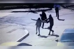 سرقت نافرجام از یک خانم در روسیه + ویدئو