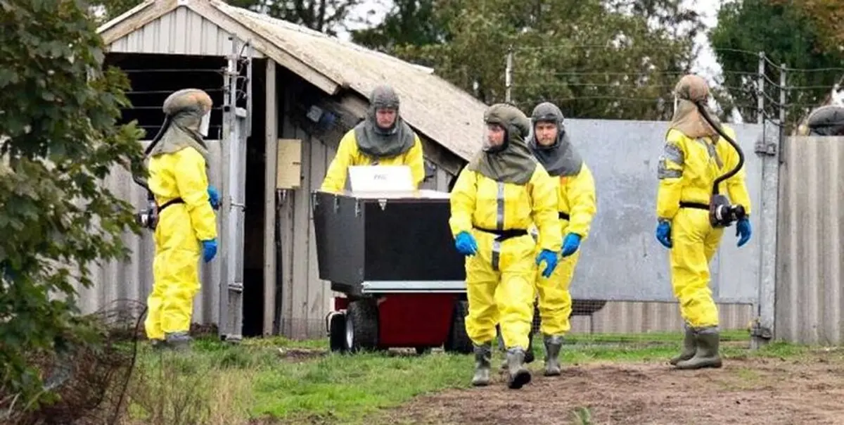 
واکسن | جهش‌های جدید کرونا در دانمارک برای واکسن‌هاخطرساز شد
