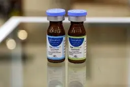 مجوز مصرف اضطراری واکسن رازی صادر شد
