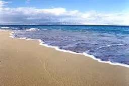 واکنش عجیب شیرهای دریایی به حضور مسافران در محل زندگی خود + ویدئو