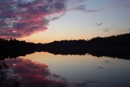 زندگی در شهری که ۶ ماه آن شب است | استفاده از یخچال برای جلوگیری از یخ زدن مواد در محیط بیرون + ویدیو 