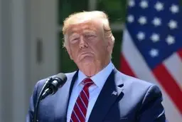 
ترامپ :نتایج ما در فلوریدا خوب است