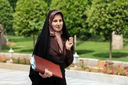 معاون حقوقی رئیس‌جمهور: رسیدگی به لوایح FATF رها نشده  
