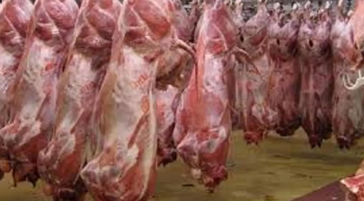 قیمت گوشت گوسفندی امروز در بازار چقدر است؟