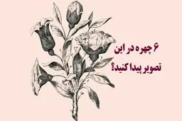 تست بینایی | 6 چهره پنهان شده را در تصویر پیدا کنید + پاسخ