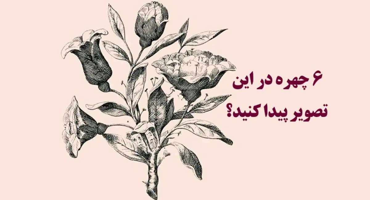 تست بینایی | 6 چهره پنهان شده را در تصویر پیدا کنید + پاسخ