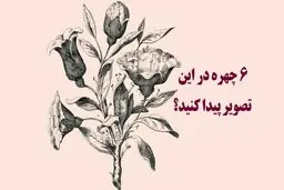 تست بینایی | 6 چهره پنهان شده را در تصویر پیدا کنید + پاسخ