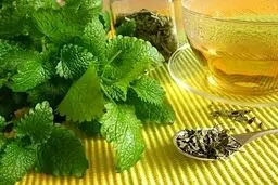 
 بهترین گیاه دارویی برای روزه داران
