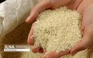 واردات برنج ۴۸ درصد کاهش یافت