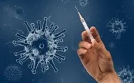 چهارمین دُز واکسن کووید احتمالا برای بیشتر افراد ضروری نباشد
