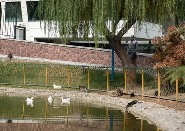 تهران خنک ار میشود | ادامه بارندگی در تهران