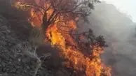 
منابع طبیعی فارس:  عمدی بودن آتش سوزی ممسنی
