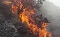 
منابع طبیعی فارس:  عمدی بودن آتش سوزی ممسنی