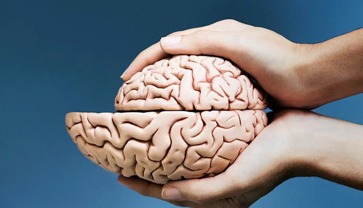 این ۴ عامل باعث کوچک شدن مغز شما می‌شوند